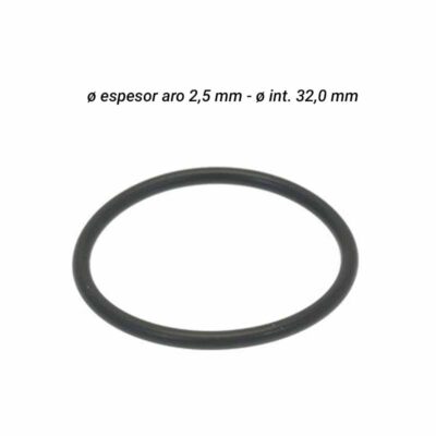 Junta cuerpo batidor Saeco