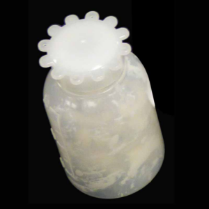 Botella + grasa alimentaria(0.02 Kg) Azkoyen