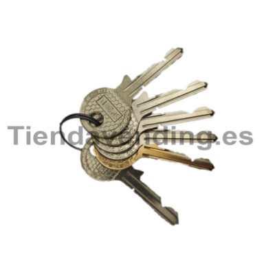 Juego 1 Llave Progr.+ 5 llaves usuario Rielda