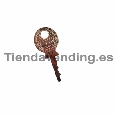 Llave oro programación rielda FA100A Fas