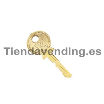 Llave rielda oro Saeco AJ306A (programación)