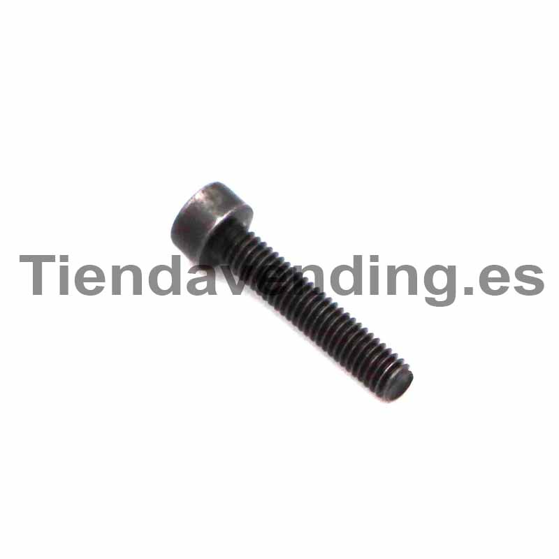 Tornillo de cabeza cilindro M4x30 Bianchi